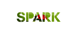 Spark